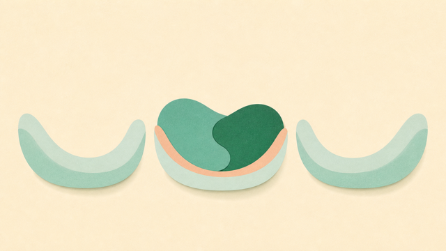 Three different meditation cushions arranged side by side.